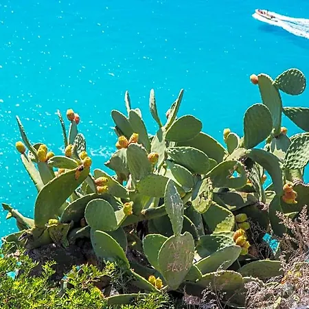 Hotel Asyla - Capo Rizzuto Isola Di Capo Rizzuto